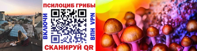 Галлюциногенные грибы ЛСД  наркошоп  Юрьевец 